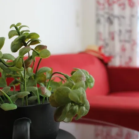 Filmar Hotel, Ixia, Rhodes 酒店 3*