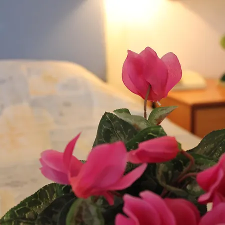 מלון Filmar Hotel, Ixia, Rhodes