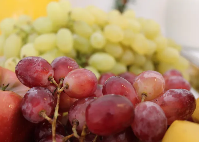 Filmar Hotel, Ixia, Rhodes Hotel