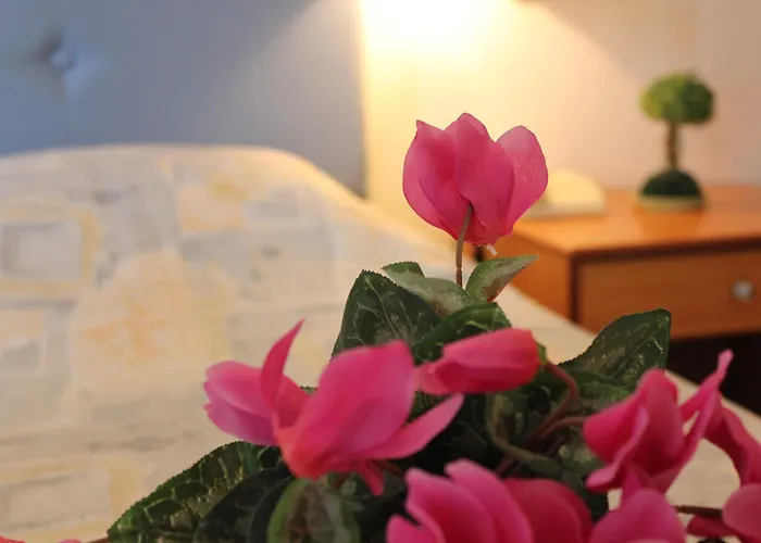 Hotel Filmar Hotel, Ixia, Rhodes