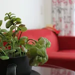 Filmar Hotel, Ixia, Rhodes Hotel 3*
