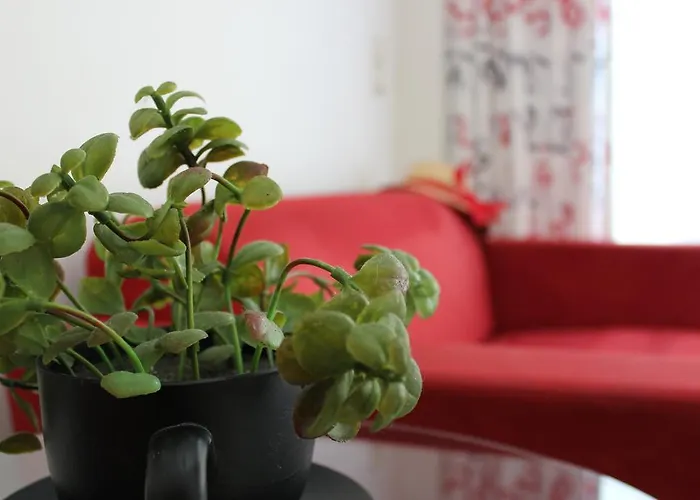 Filmar Hotel, Ixia, Rhodes Hotel 3*